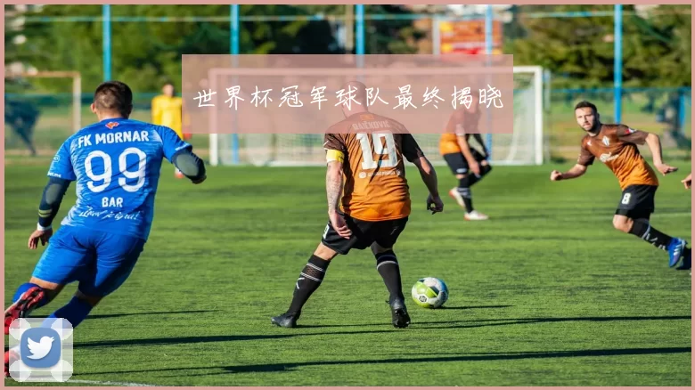 世界杯冠军球队最终揭晓