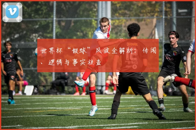 世界杯“假球”风波全解析:传闻、逻辑与事实核查