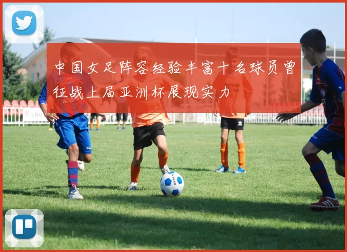 中国女足阵容经验丰富十名球员曾征战上届亚洲杯展现实力