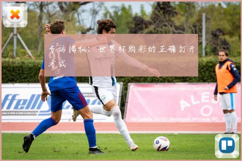 专访揭秘:世界杯购彩的正确打开方式