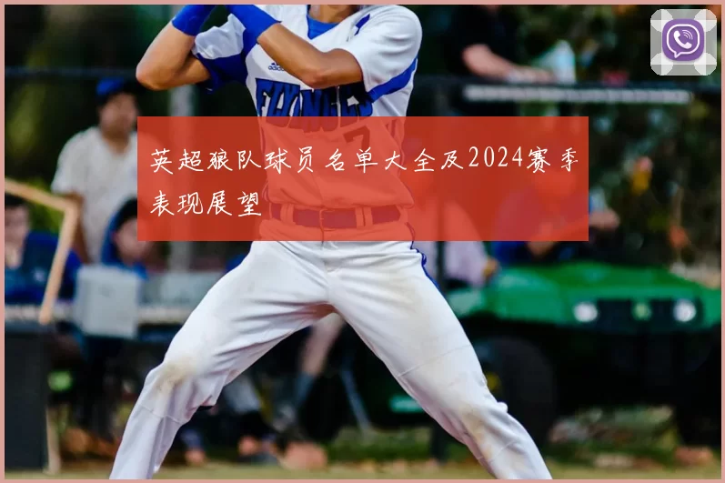 英超狼队球员名单大全及2024赛季表现展望