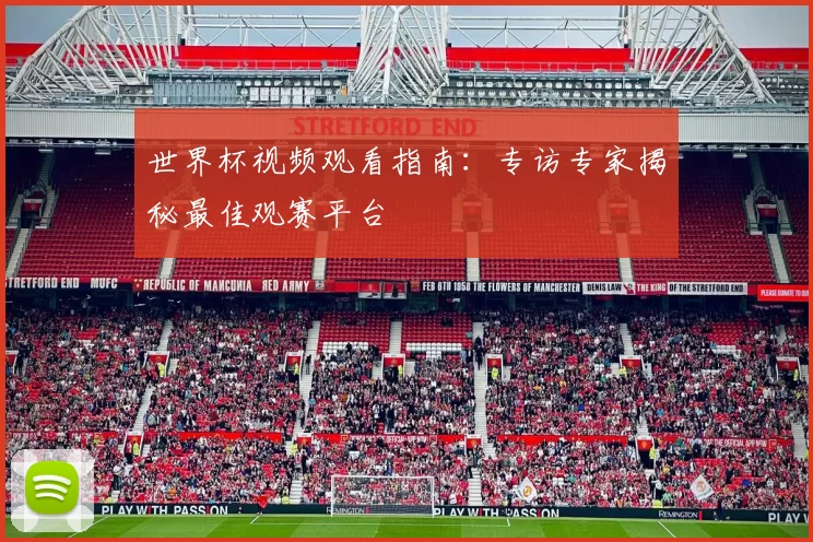 世界杯视频观看指南：专访专家揭秘最佳观赛平台