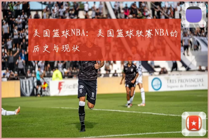 美国篮球NBA：美国篮球联赛NBA的历史与现状