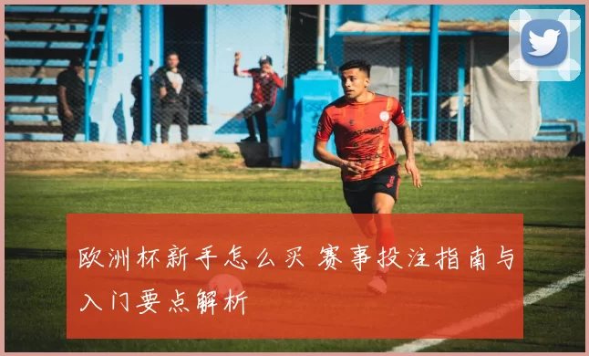 欧洲杯新手怎么买 赛事投注指南与入门要点解析