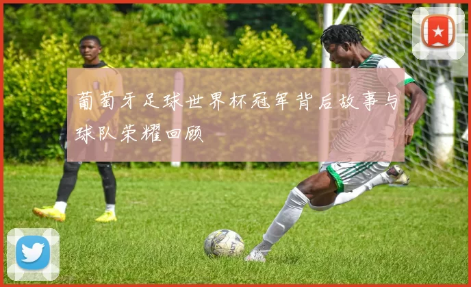 葡萄牙足球世界杯冠军背后故事与球队荣耀回顾