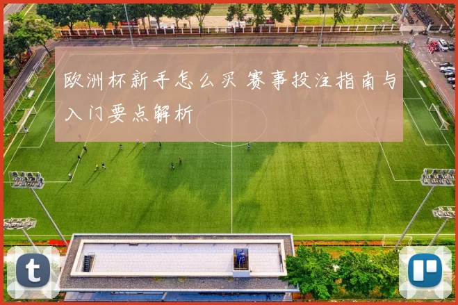 欧洲杯新手怎么买 赛事投注指南与入门要点解析