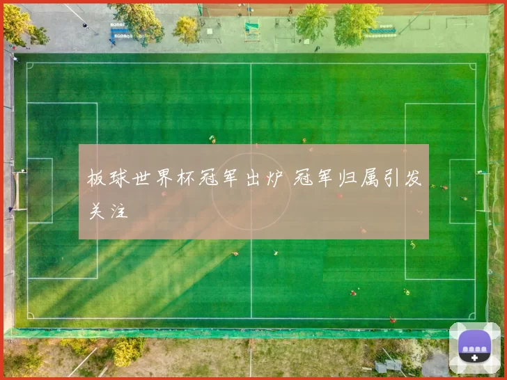 板球世界杯冠军出炉 冠军归属引发关注