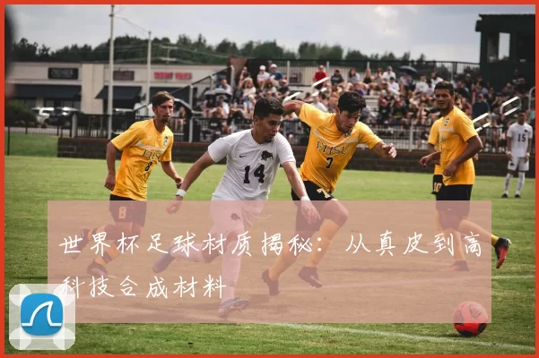 世界杯足球材质揭秘：从真皮到高科技合成材料