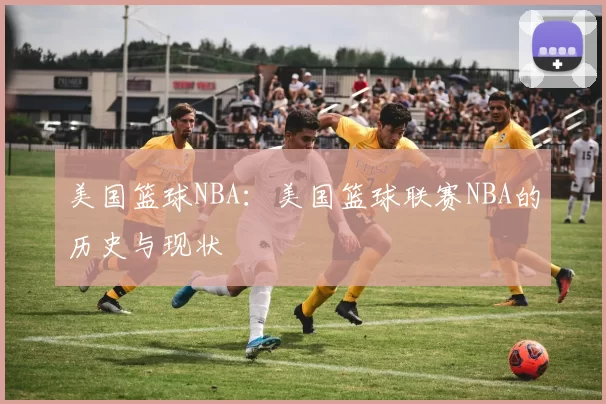 美国篮球NBA：美国篮球联赛NBA的历史与现状